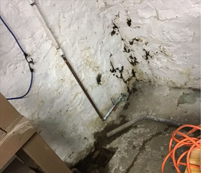 Sewage backup in a basement