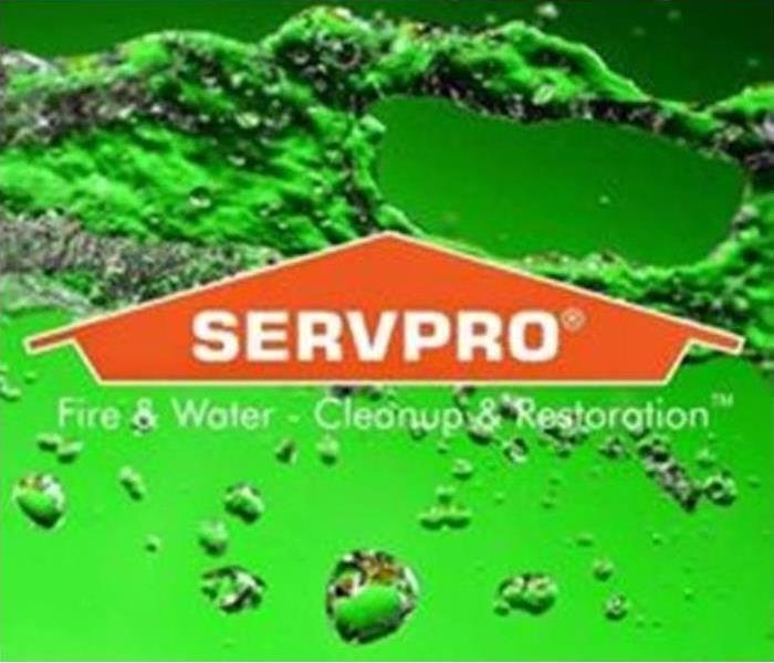 Orange house SERVPRO logo with a green background